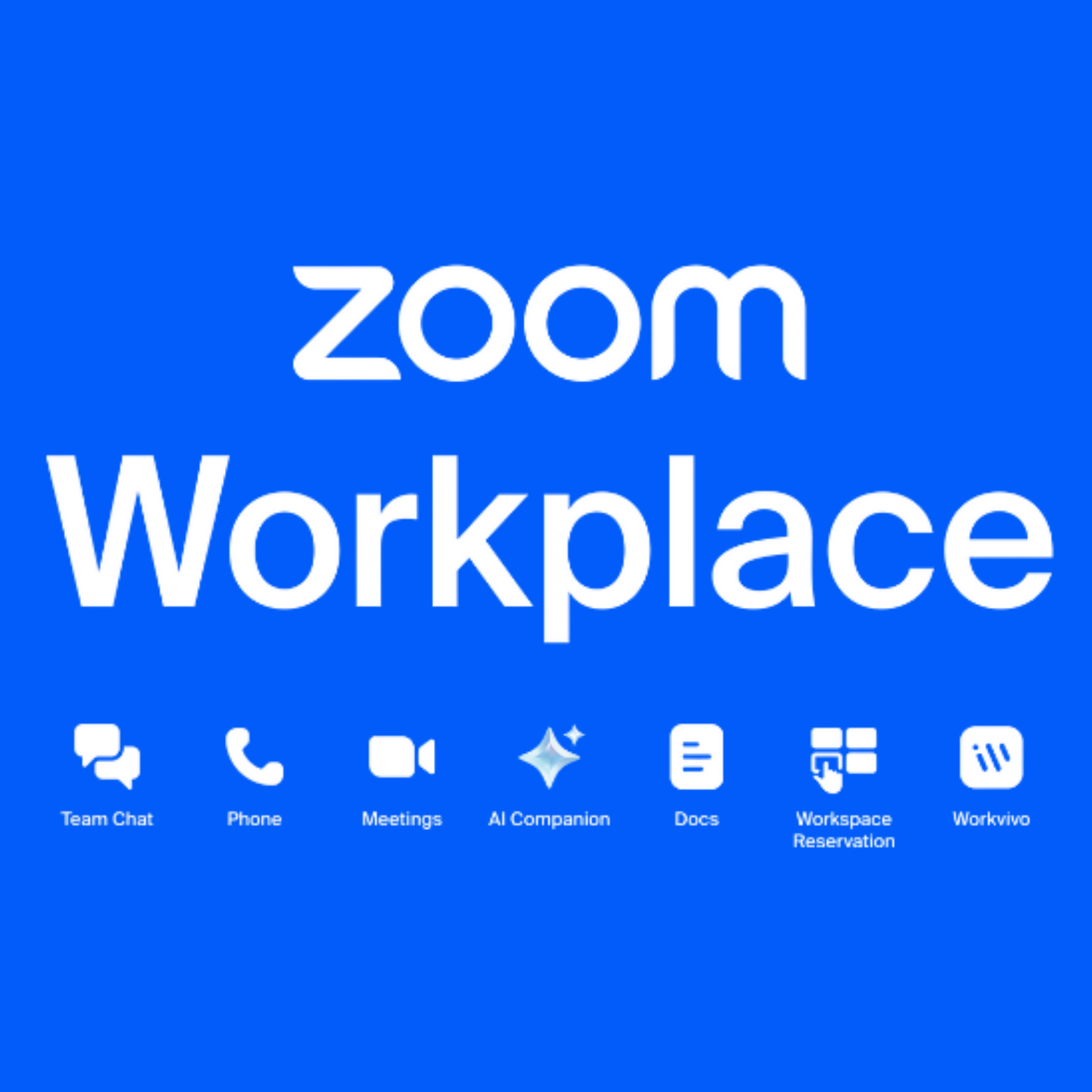 Zoom Workspace
